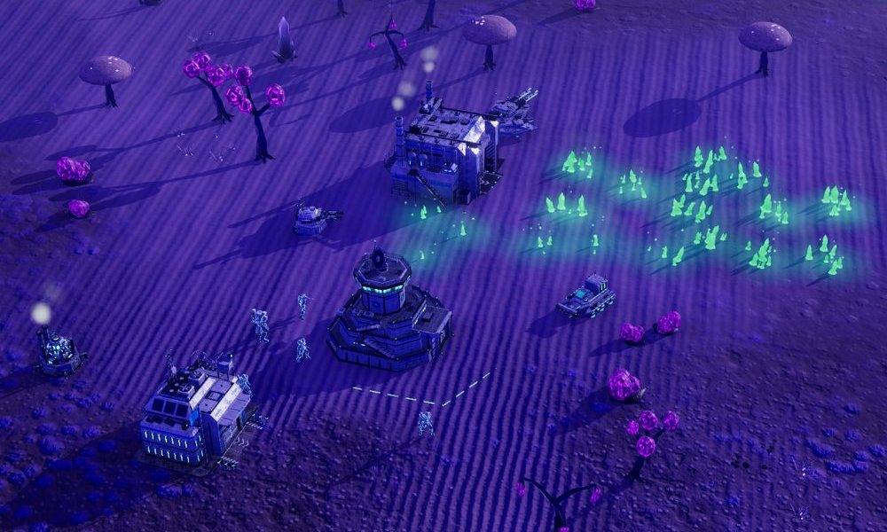 Thornveil, In game